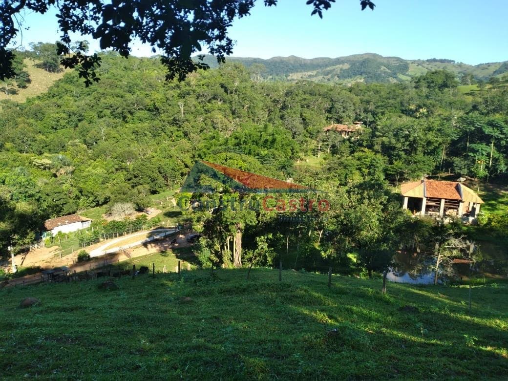 CASA NA FAZENDA COM CACHOEIRA E RIO , ALUGUEL DE TEMPORADA: foto 24