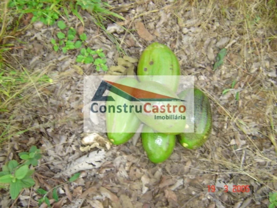 Lote À Venda, Residencial Aurora das Mansoes: foto 5