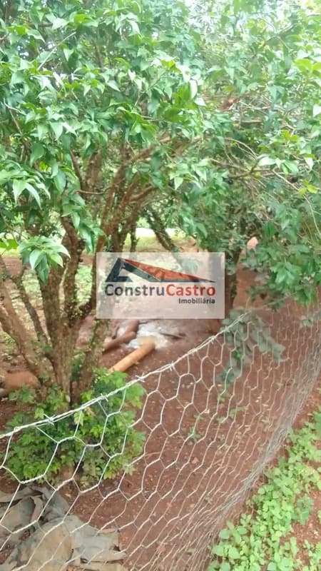 Rural À Venda, Chacaras Vargem Bonita Ii: foto 6