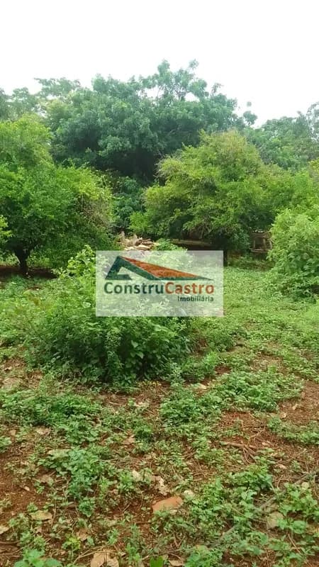 Rural À Venda, Chacaras Vargem Bonita Ii: foto 7