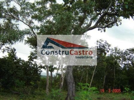 Rural À Venda, Senador Canedo: foto 5