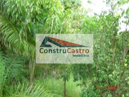 Rural À Venda, Senador Canedo: foto 6