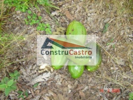 Rural À Venda, Senador Canedo: foto 8